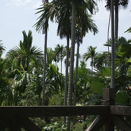 Lila Homestay Hoi An Luaran gambar
