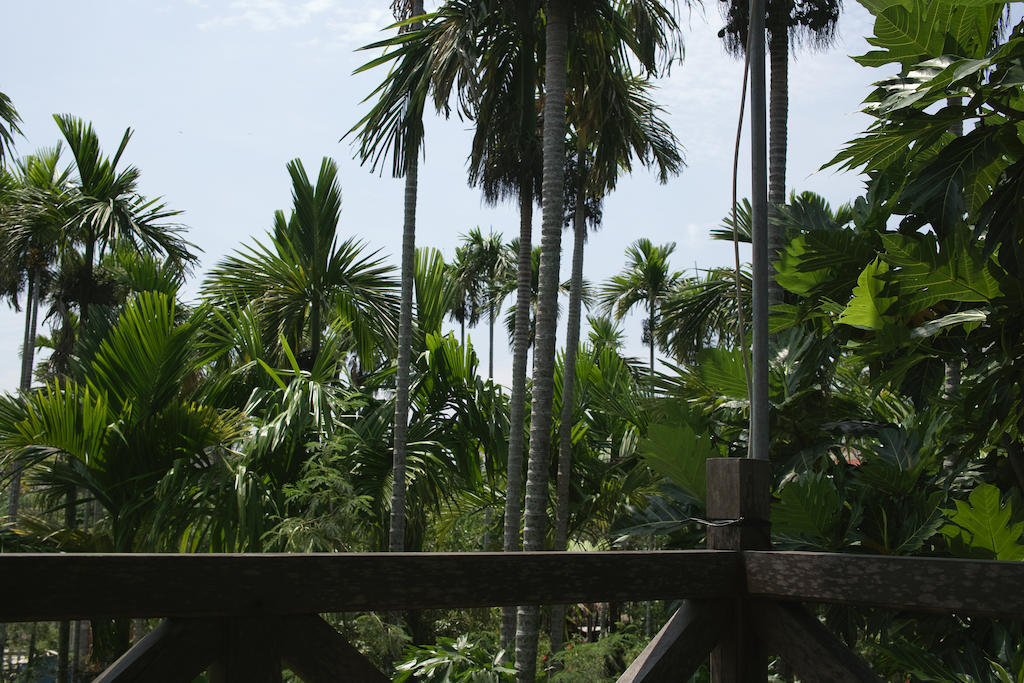 Lila Homestay Hoi An Luaran gambar